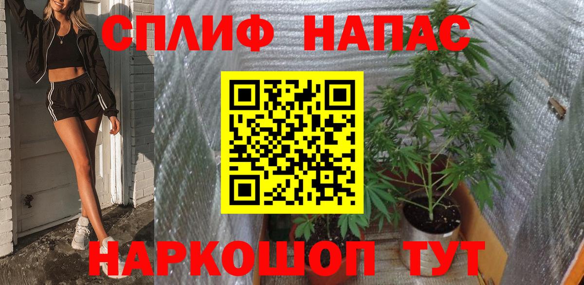 МАРИХУАНА SATIVA & INDICA Губаха
